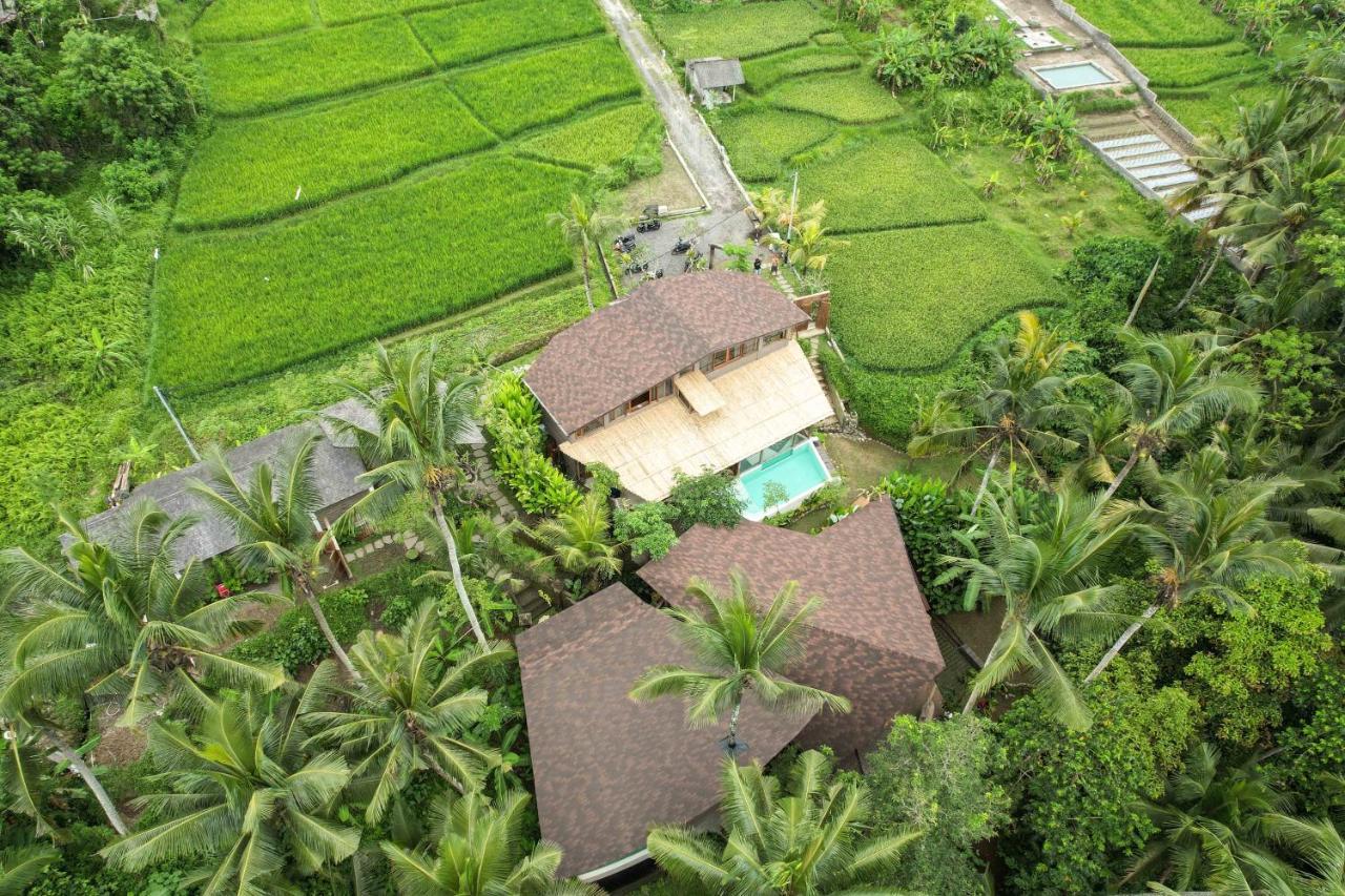 Casa Pohon Ubud Exterior foto