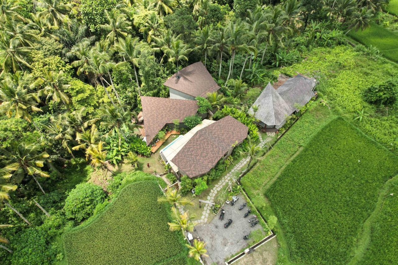 Casa Pohon Ubud Exterior foto