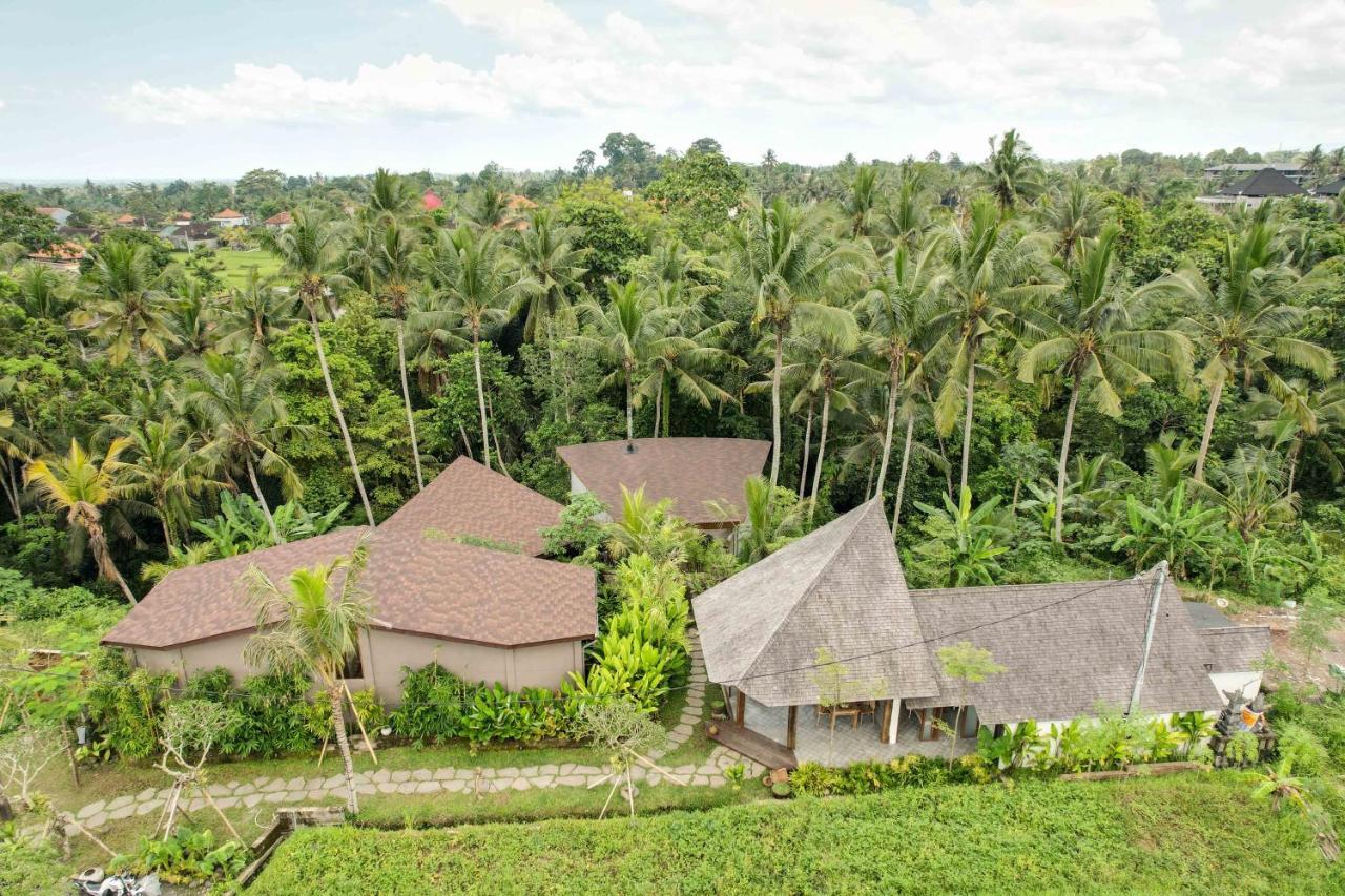 Casa Pohon Ubud Exterior foto